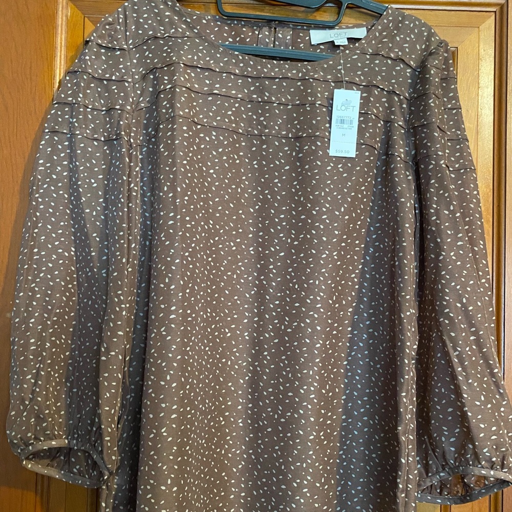 NWT Ann Taylor Loft brown dot blouse, long sleeve sheer type material, sz M
